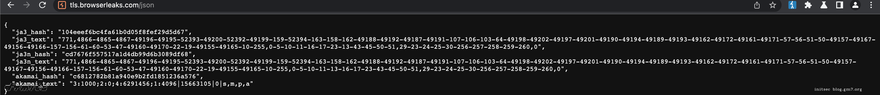Burp Chromium